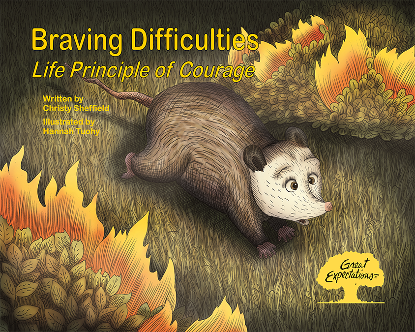 Braving Difficulties