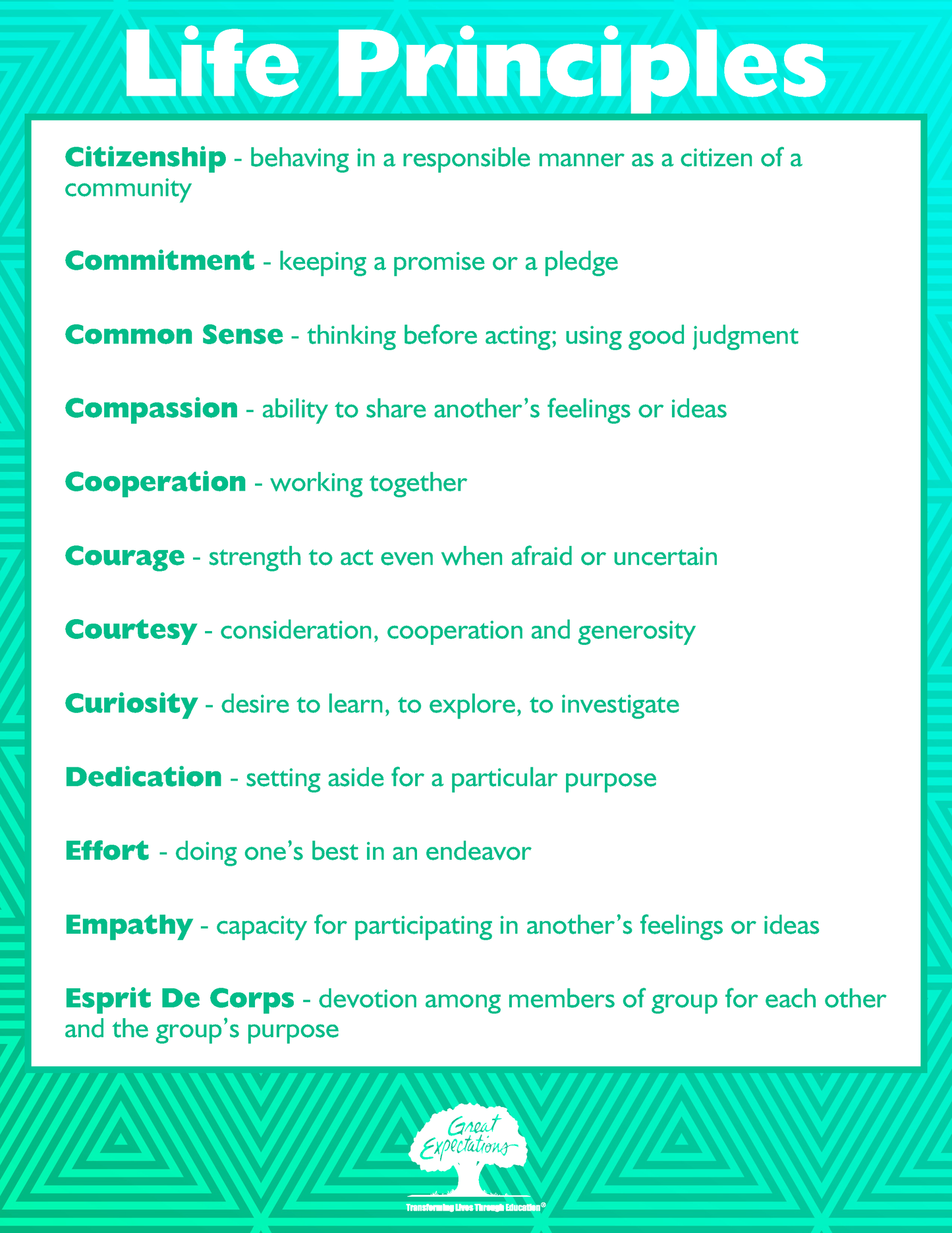 Classroom Poster Pack